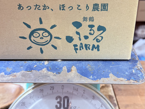 皮薄で肉厚！幻の梅「紅映（べにさし）」手選別1kg（数量限定・予約販売）