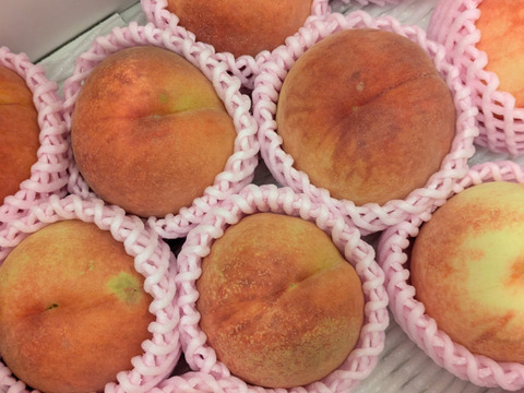 希少な桃　美桃紅　約3kg 8～16玉　8月下旬【ASIAGAP認証農場：津軽農園】　安心・安全な桃　収穫した日に発送　家庭用　農家直送【朝どれ】