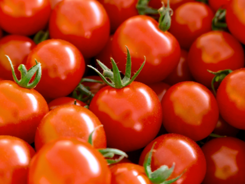 【母の日ギフト】高糖度ミニトマトと無添加トマトジュースのギフトセット