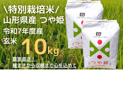 【令和7年新米】特別栽培米つや姫玄米10kg【冬ギフト】