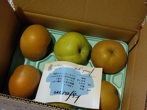 旬の梨【二品種以上食べ比べBOX】ちょっと訳あり3kg