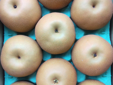 【南水3ｋｇ】糖度15°、超甘い、シャリ感、硬い、ジューシー、日保ちする信州生まれの優れもの！⑨【秀品】