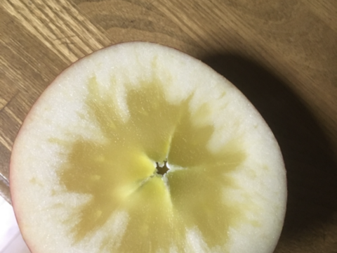 蜜入りチェック済み！2箱分3キロ9-12玉葉取らず農薬半減栽培樹上完熟サンふじ　蜜ライトで光を通すかチェックします！