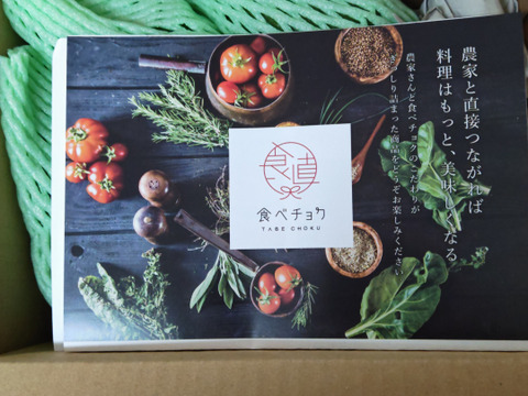 奇跡の国産「愛媛アボカド」愛媛県産約1㎏