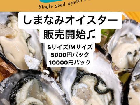瀬戸内で産まれた生食用真牡蠣！しまなみオイスター(25個入り)