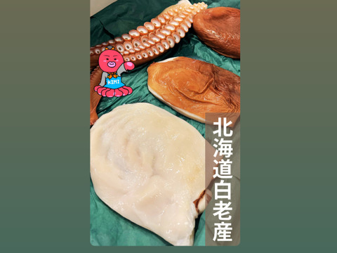 【北海道白老産】タコとんび2個＋胃袋2個　合計4個セット♪