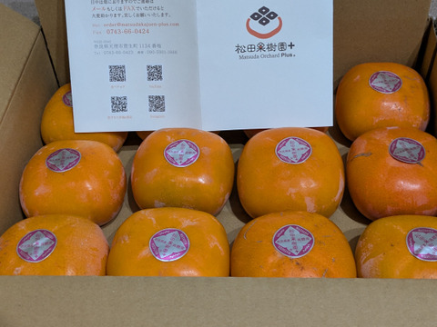 【ご予約】家庭用 糖度に自信！刀根早生柿誕生の地より直送 たねなし柿  SDG.s 2L～L　12玉入りです。たくさんの方に味わっていただきたくて企画しました。