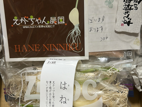 根も葉も全部食べれるはねにんにく20本