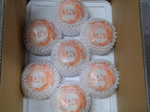 【鳥取産】  愛宕梨！