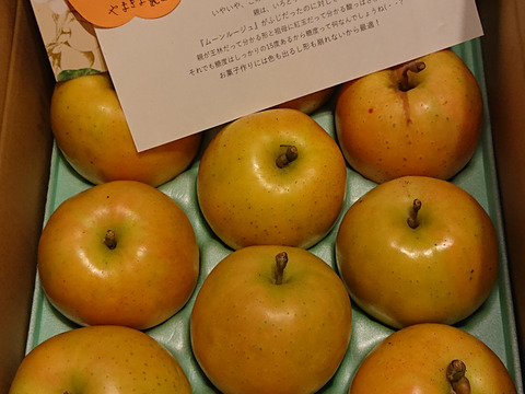 中が赤い‪‬第2弾(;ﾟДﾟ)!なかののきらめき3kg