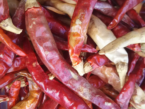 カラッ(｡>﹏<｡)唐辛子　便利な小分けパック🌶️🌶️🌶️❗❗40袋入り🌶️🌶️🌶️ばぁばのモノスゴイ野菜✨✨✨
