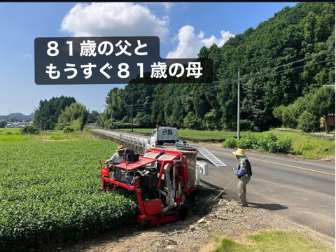 出来立てホヤホヤ【2026新茶】81才になりました父が今年も作りました❗️【カップに茶葉とお湯で簡単に飲んで茶葉も食べちゃお！】深蒸し茶　100g ３袋