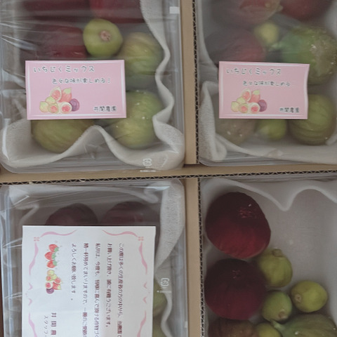 イチジク3種セット 特産加工品】いちじく3種セット ☆2箱セット | JAあいち中央