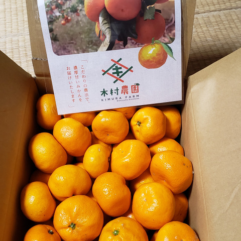 トロトロ甘っ！濃い味旨味みかん3キロ：和歌山県の投稿｜食べチョク