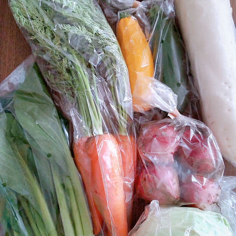 Sサイズ ＊旬野菜セット(約6~7品)【農薬：栽培期間中不使用
