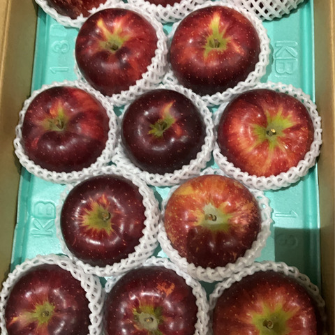 秋映】 贈答品✨シャキッと食感！味も色も濃い秋のりんご！（6~10玉