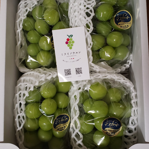 農家直送岡山県産シャインマスカット2kg超(4房入) シャインマスカット 2kg（3房から4房）箱入り | ぜきお農園