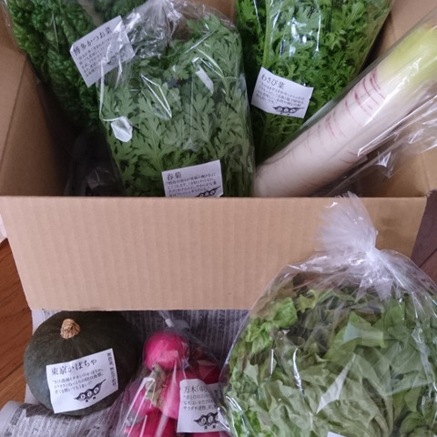 野菜セットSサイズ(7品)【農薬・化学肥料・動物性堆肥|不 野菜セットSサイズ(7品)【農薬・化学肥料・動物性堆肥|不