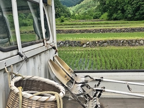 【新米】農薬化学肥料不使用　信州伊那谷★満月もち(白米)・2025年産 10㎏