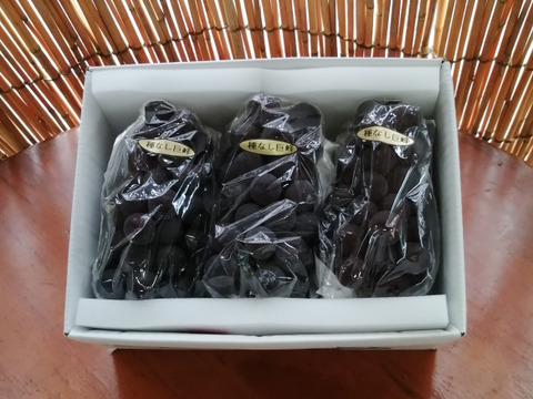 ✨🍇🌿　今が旬　露地栽培の巨峰🌿🍇✨
　　　【巨峰３房　/　計1.7kg位入り】