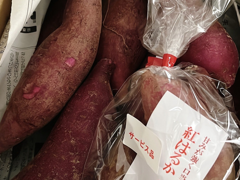 希少品種　とっても甘い紫芋　ふくむらさき1kg