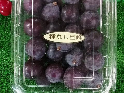 🟨🟪🉐訳アリ・ご家庭用B🉐🟪🟨
巨　峰　＆　シャインマスカット
【粒パック・各1P・約1,000g位】
         🟥🉐訳アリ🉐🟥