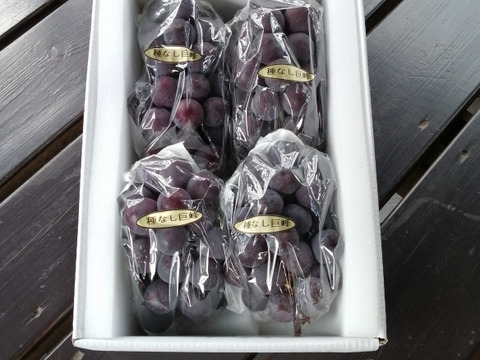 ✨🍇今が旬の露地栽培巨峰✤種有無混🍇✨
　　　巨峰４〜５房/中サイズ約1.7kg位