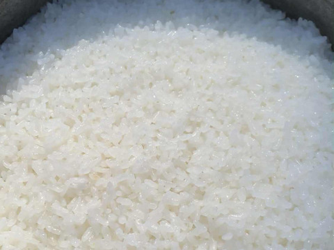 令和７年度産自然栽培新米　熊本県菊池産　森のくまさん　玄米１０ｋｇ