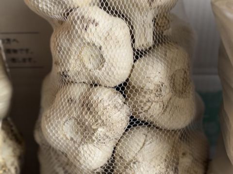 訳あり土付き「田子にんにくLサイズ30玉」約2㎏【7月中旬以降お届け】