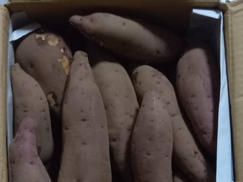 栗のような甘さとホクホク食感❗️さつまいも千葉県香取市産【紅あずま】2.8kg S〜Lサイズ混合