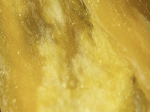 【訳あり】甘い　ほしいも　シロタ　べにはるか　香取市産　(ご家庭用　200g)