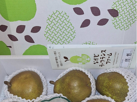 【ラフランス専業農家が贈る🍐】ラ・フランス 3kg 特秀 9玉入り