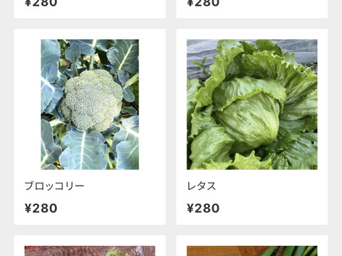 そさい5号 肥料 5kg×6袋 30kg 野菜専用 野菜 根菜 葉野菜 果菜