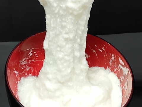 【数量限定】箸で持てるほどの粘り！！自然薯　800g相当