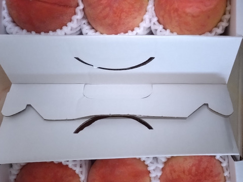 【超特価】１.２ｋｇ（５~６個位）Ｘ２箱　「あかつき」８月１０日販売終了