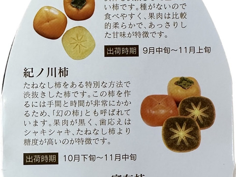 9月中旬から順次発送(自家用)和歌山県産たねなし柿M・Lサイズ(18個～20個)