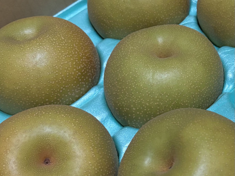 梨 幸水 良品5kg‼️長野県産