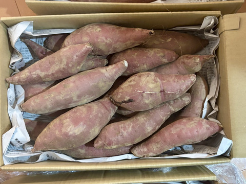 【きよちゃん様専用商品】べにはるか20kg