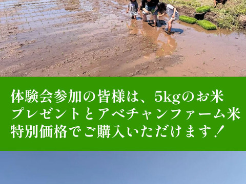 令和4年産20kg『新米*とちぎの星』*無洗米*大嘗祭献上米 令和7年新米】とちぎの星(10kg)白米｜令和の大嘗祭献上米品種