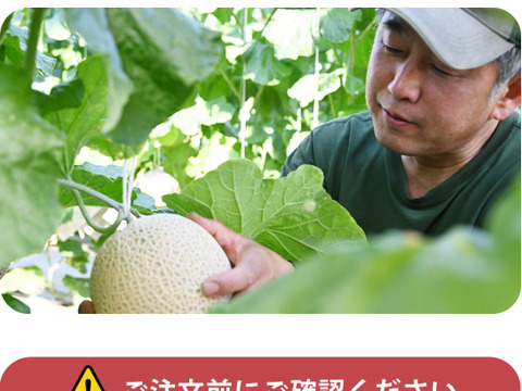 【MEGAビッグ】マスクメロン1玉2kg以上