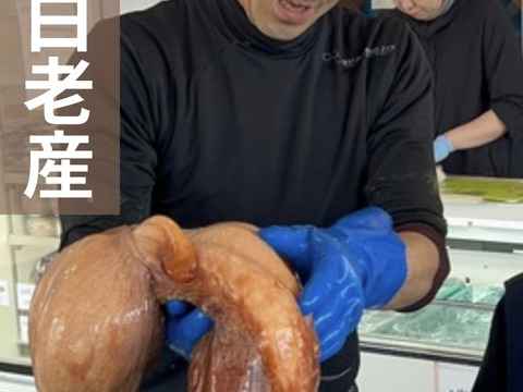 【北海道白老産】タコ串（3本）