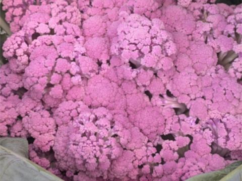 ❄️☃️冬の野菜セット☃️❄️