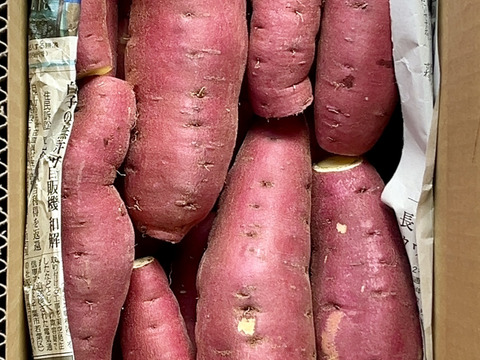 訳ありでもホクホクむっちり！「栗かぐや」色々なサイズ入り 3キロ箱