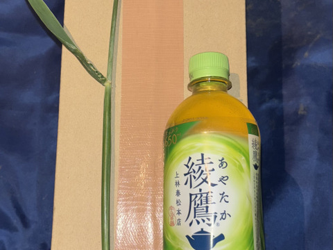 鑑賞用 花麦 ムギ 生花 150本セット