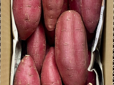 【新芋】スッキリした甘さと滑らかな舌触り「シルクスイート」 3キロ箱