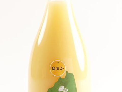 100%ピュア「ハルカ」生搾りジュース