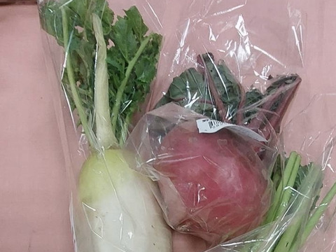 【栽培期間中 農薬・化学肥料不使用】根菜4種セット