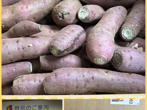 さつまいも(紅はるか)5kg 　S〜LLサイズ