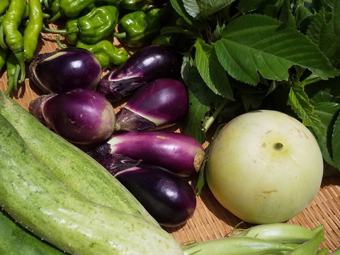 TSさん専用玄米2キロ＋やさい【地球によりそう野菜たちのセット】自然農の畑から、不耕起草生　草とともに台地の畑で２6年の積み重ね、種とり、農薬肥料不使用）