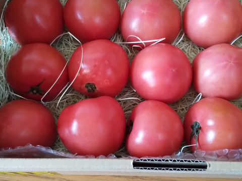 飛騨産大玉トマト3キロ箱
秋も美味しい太陽の恵も最終！